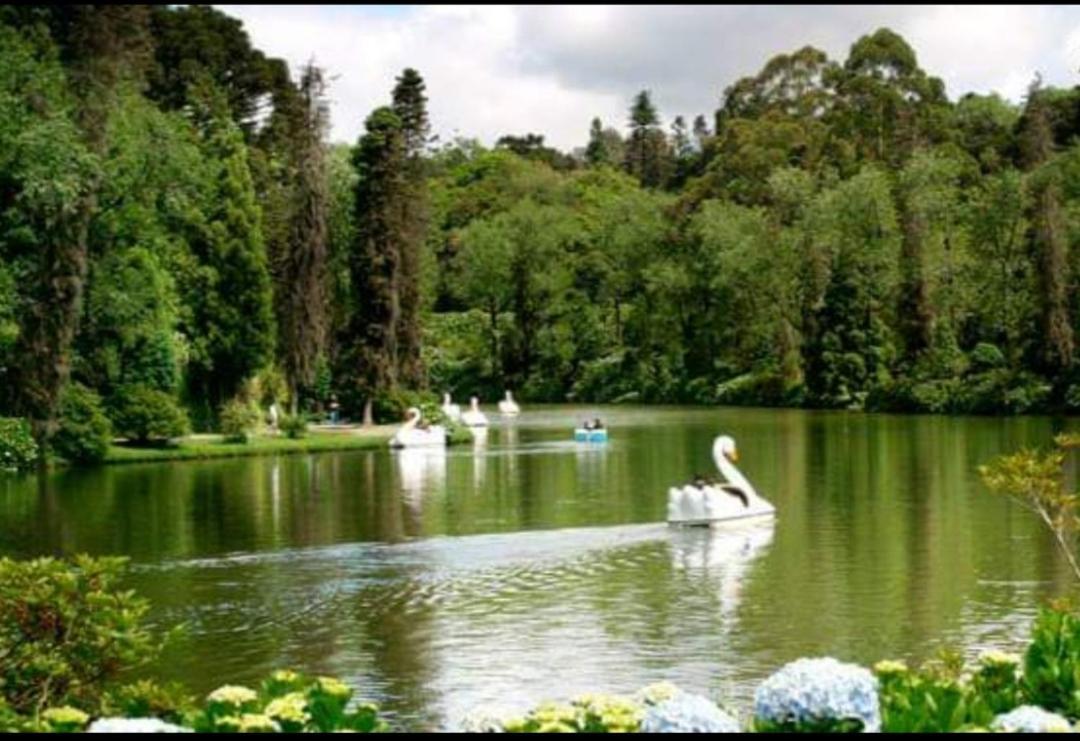 Casa Nobre Gramado Villa Eksteriør bilde