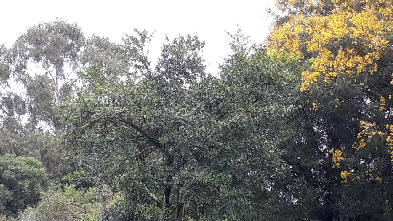 Casa Nobre Gramado Villa Eksteriør bilde
